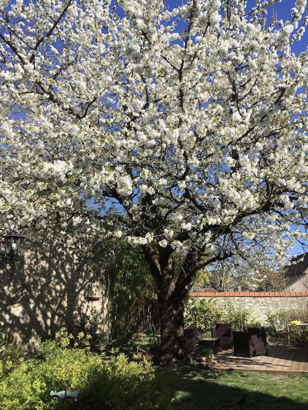Aquarelle Sainte-Maure-de-Touraine Exterior foto